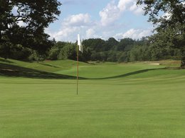 Golf - greens
