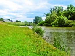 Gazon & Openbaar groen