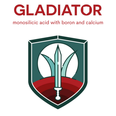 Gladiator (Si, Ca & B)  5 liter