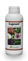 Cuprum 1L