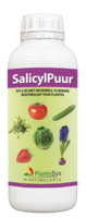 SalicylPuur  1 L